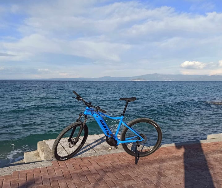 ebike suntours