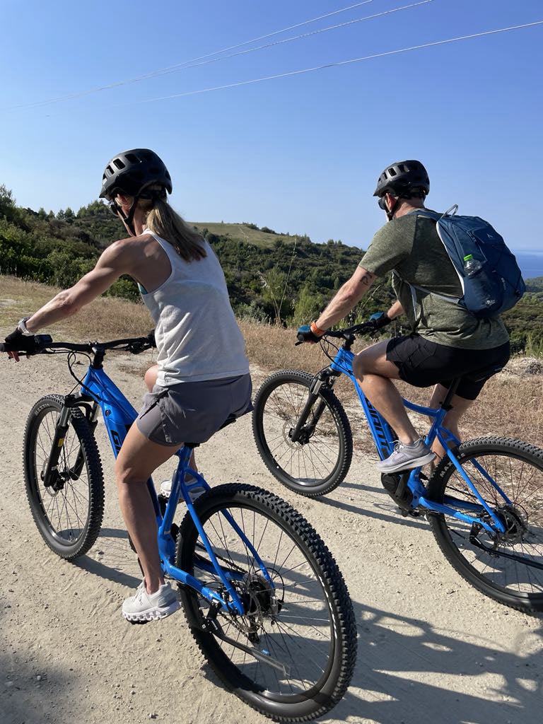 ebike suntours