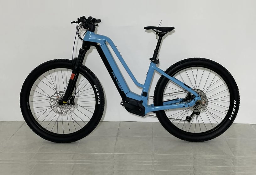 ebike