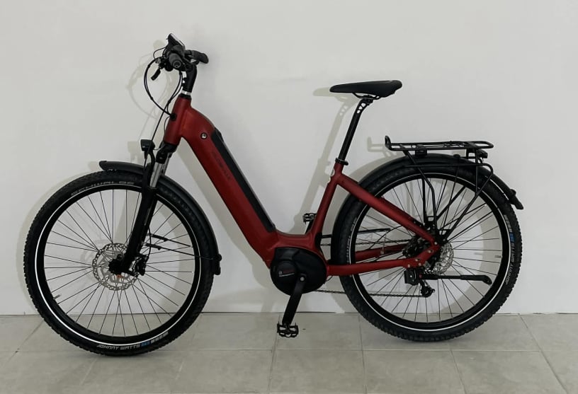 ebikes